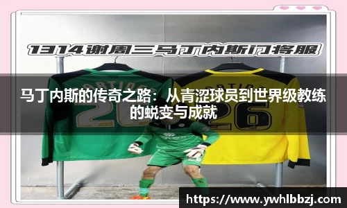 jn江南·体育登录入口