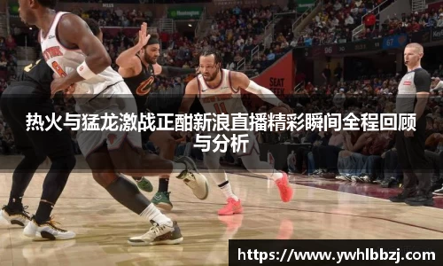 热火与猛龙激战正酣新浪直播精彩瞬间全程回顾与分析